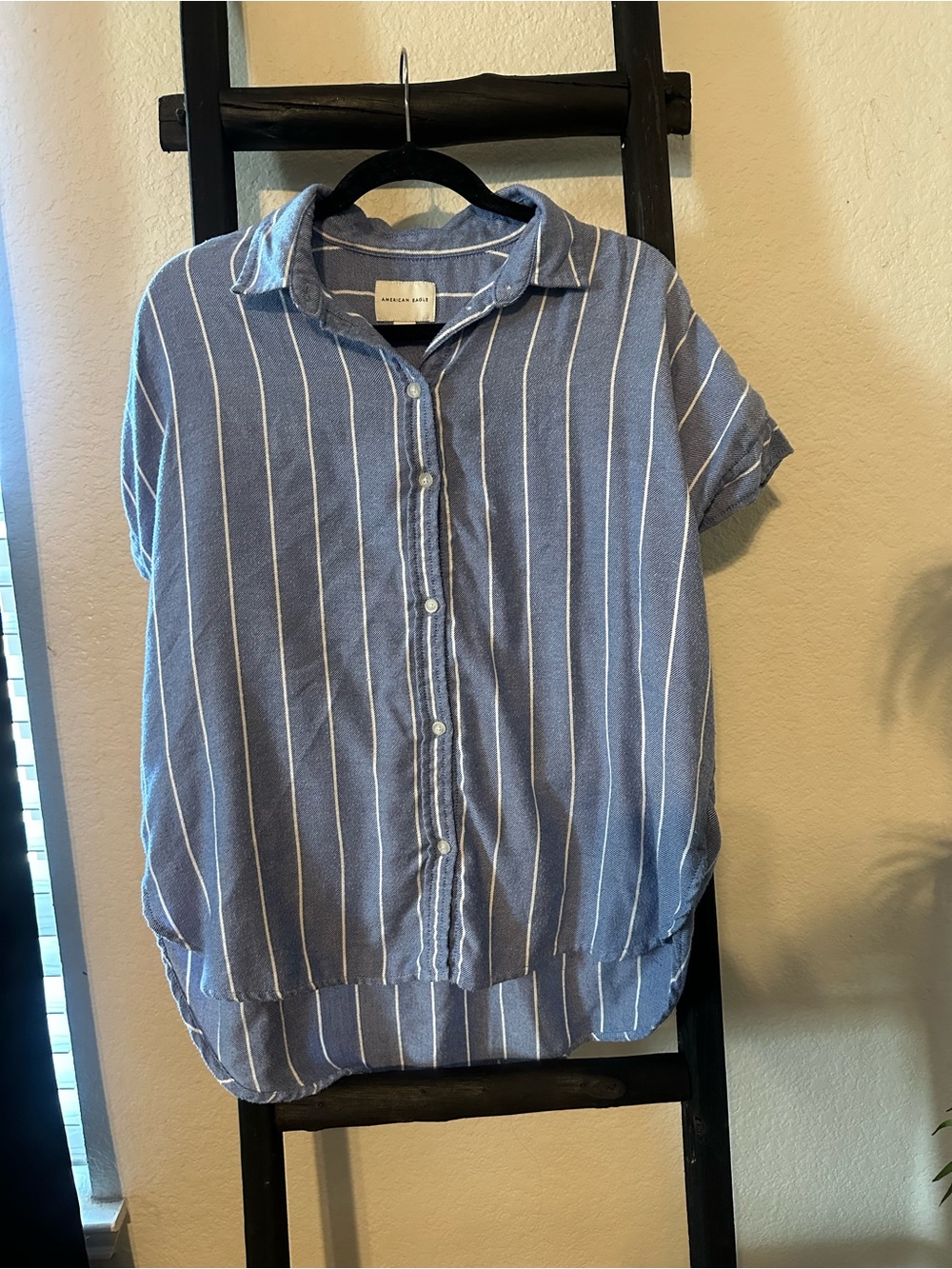 American Eagle Outfitters Blue and White Vertical Stripe Button-Up Shirt